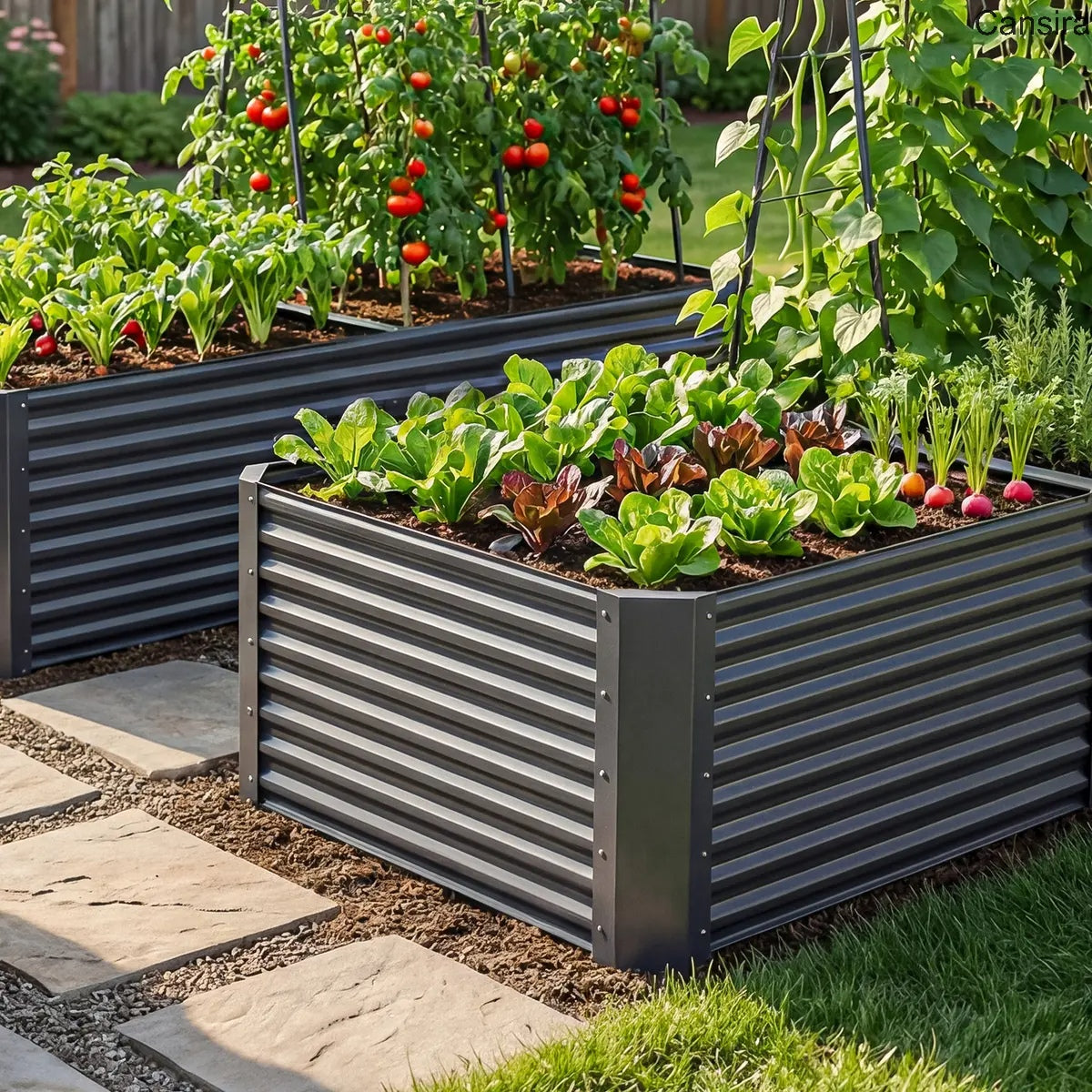 Raised Garden Bed Kit Planter Box Set with Gloves